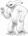 Caracoe.jpg